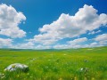 奇迹私服网：体验多样化玩法与丰富装备，打造你的虚拟游戏世界